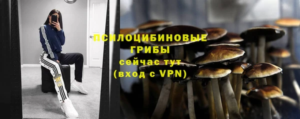 трава Горняк