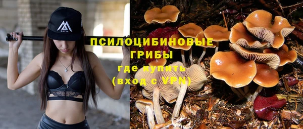спиды Вязьма