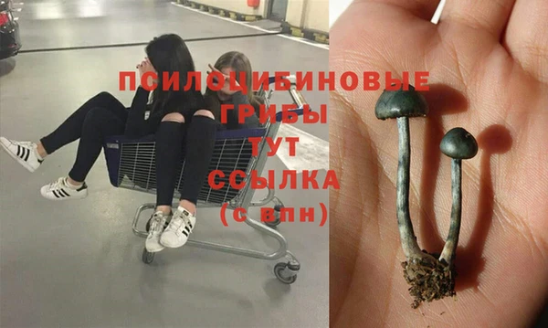 прущая мука Вязники