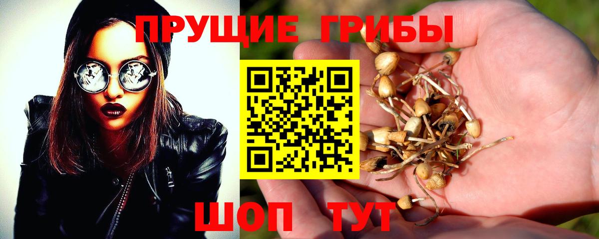 Дятьково  Галлюциногенные грибы MAGIC MUSHROOMS  наркотики  Вход с VPN 