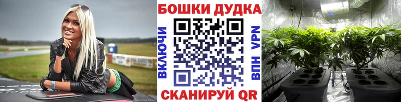 как найти закладки Дятьково Шишки марихуана гибрид